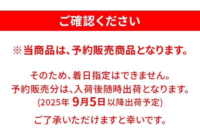 y\̔zBRIDGESTONE tFAEFCEbh BX2 HT BX TENSEI SPEEDER NX BXV[Y
