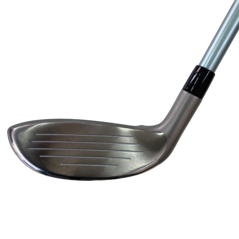 �a�q�|�w�@�t�T�@���f�B�[�X