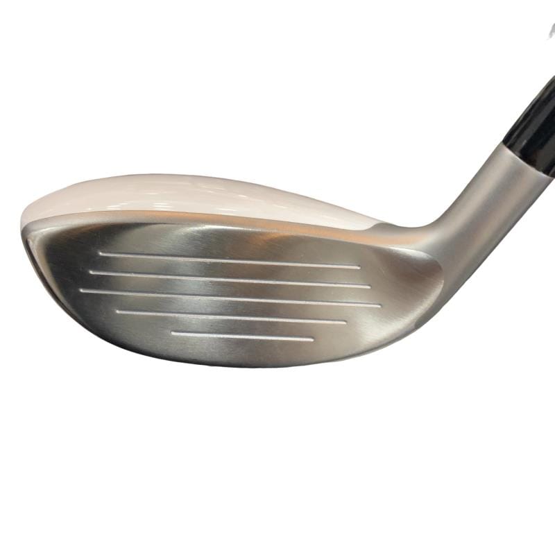 �a�q�|�w�@�t�T�@���f�B�[�X