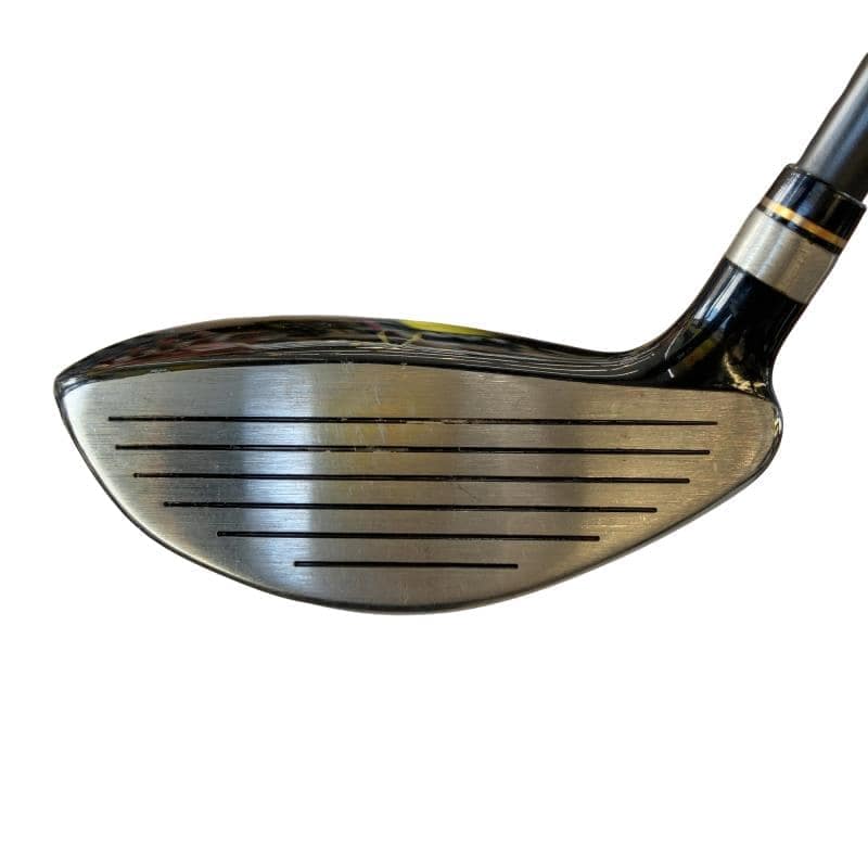 �j�Q�j�@���������O�X���[�e�B���e�B�@�t�T