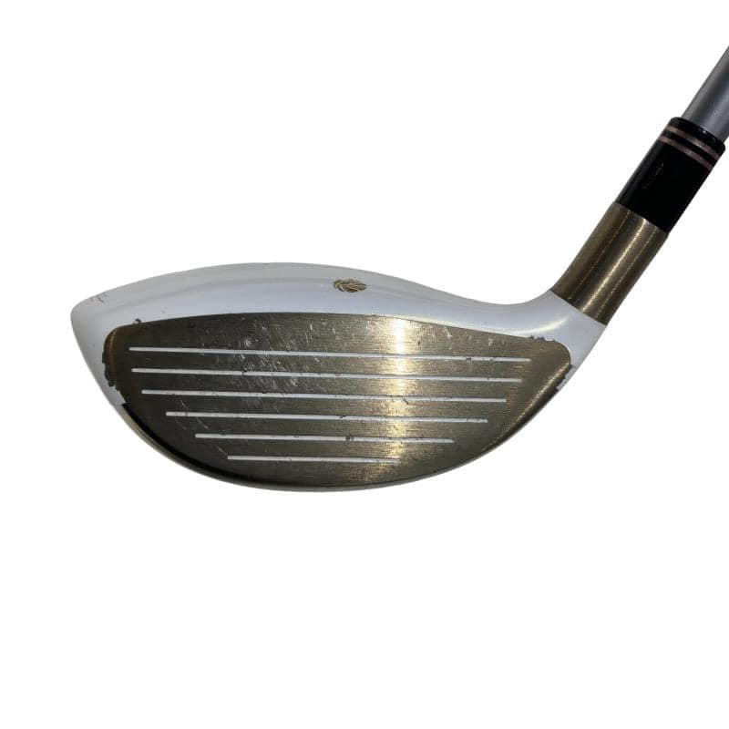 �f�k�n�h�q�d�@�e�@�T�v�@���f�B�[�X