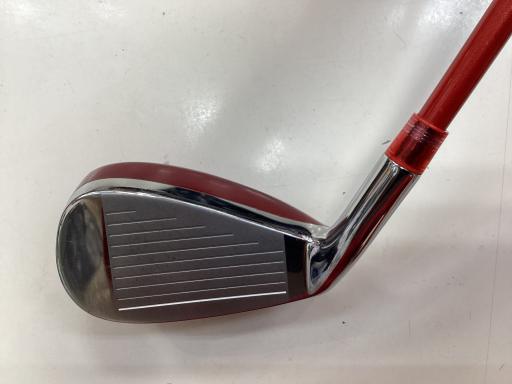 �g�d�w�t�r�@�k���@�t�R