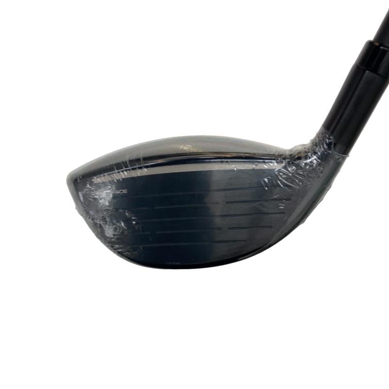 �p���P�O�@�T�v