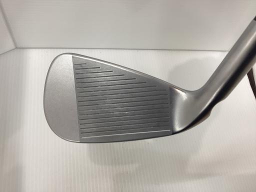 ���T�R�O�@�T�r�i���{���F�T�{�Z�b�g�j