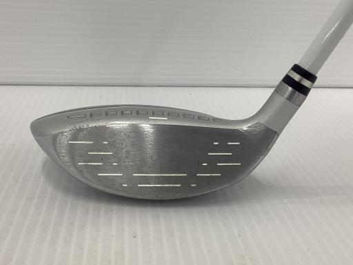 �������������@�t�c�{�Q�i�Q�O�Q�P�j�@�T�v�@���f�B�[�X