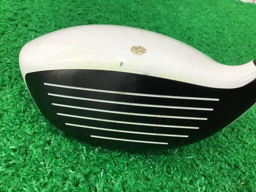 �f�k�n�h�q�d�@�e�i�Q�O�P�U�j�@�R�v