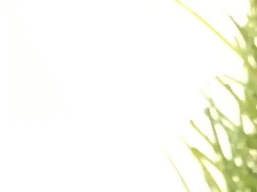 nmneeiQOQSj@`j`@`v