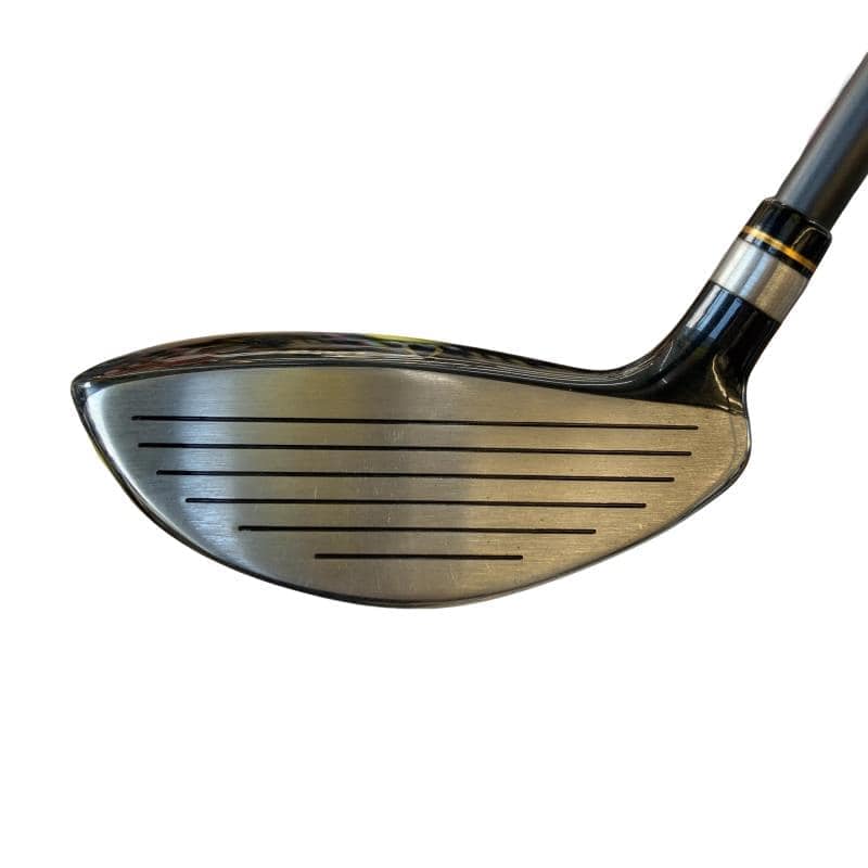 �j�Q�j�@���������O�X���[�e�B���e�B�@�t�T