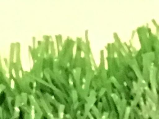 dkxsd@@Tv