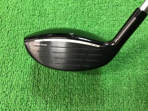 �p���P�O�@�l�`�w�@�V�v�@���f�B�[�X