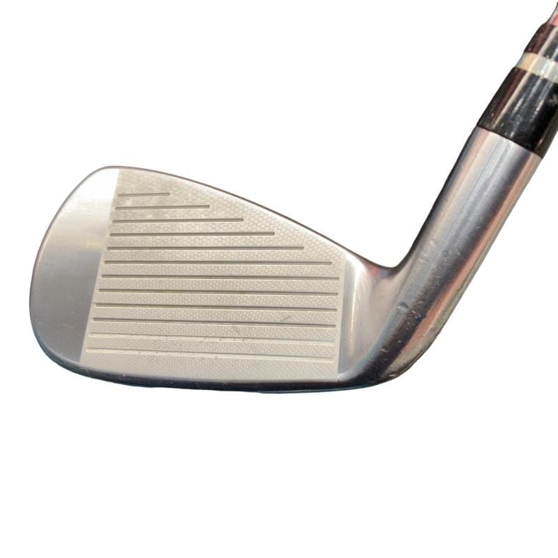 �������������@�q�l�w�@�t�c�{�Q�@�V�r�i���{���F�U�{�Z�b�g�j