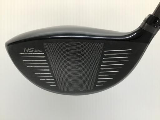 ＮＥＸＧＥＮ　ＮＳ２１０　１０．５°