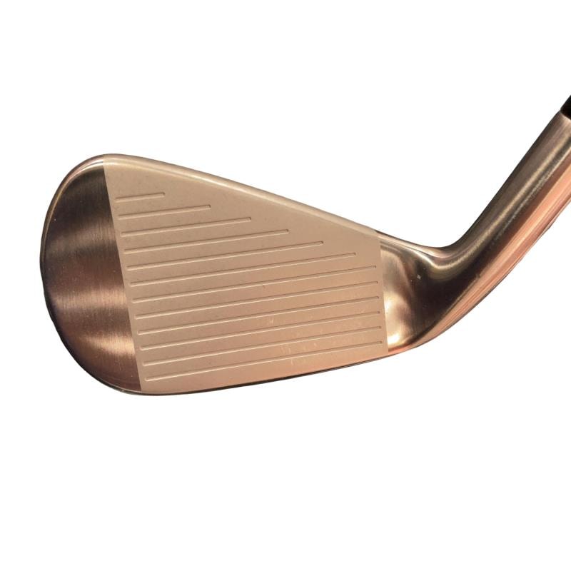 �l�����������@�o�����@�Q�Q�T�@�U�r�i���{���F�U�{�Z�b�g�j