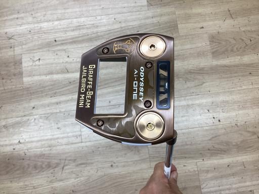 Ａｉ－ＯＮＥ　ＧＩＲＡＦＦＥ－ＢＥＡＭ　ＪＡＩＬＢＩＲＤ　ＭＩＮＩ　３４インチ