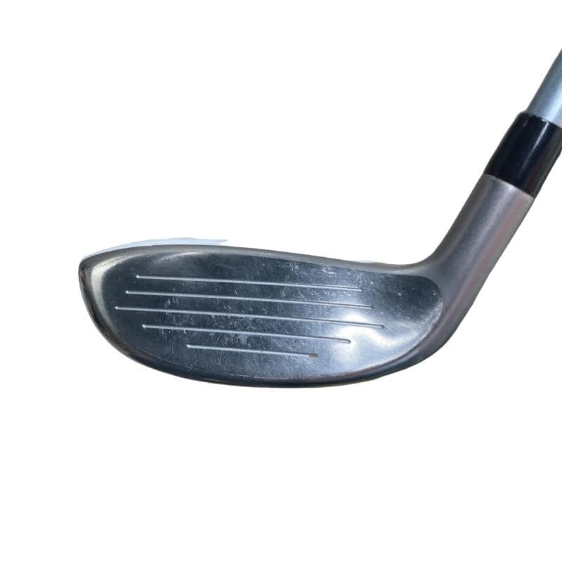 �a�q�|�w�@�t�T�@���f�B�[�X