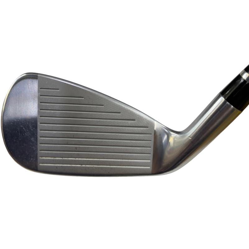 �������������@�q�l�w�@�t�c�{�Q�@�V�r�i���{���F�V�{�Z�b�g�j