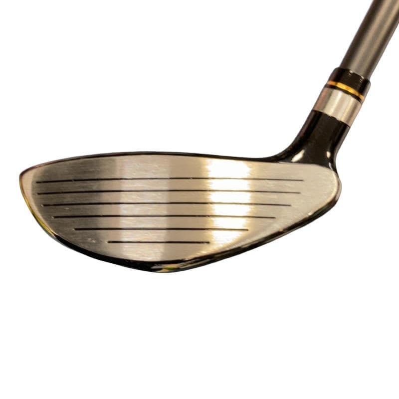 �j�Q�j�@���������O�X���[�e�B���e�B�@�t�T