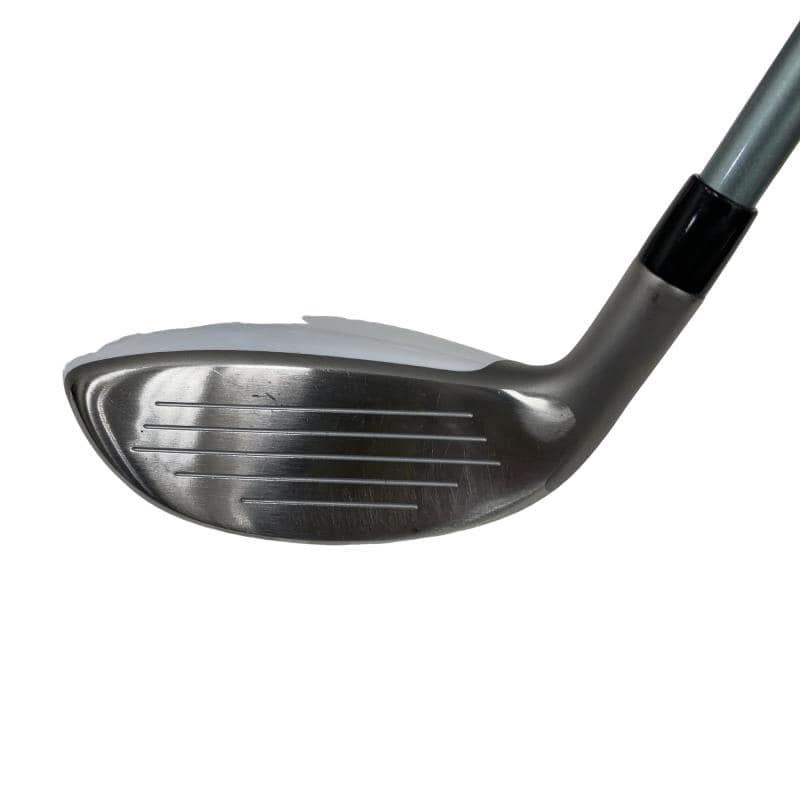 �a�q�|�w�@�t�T�@���f�B�[�X