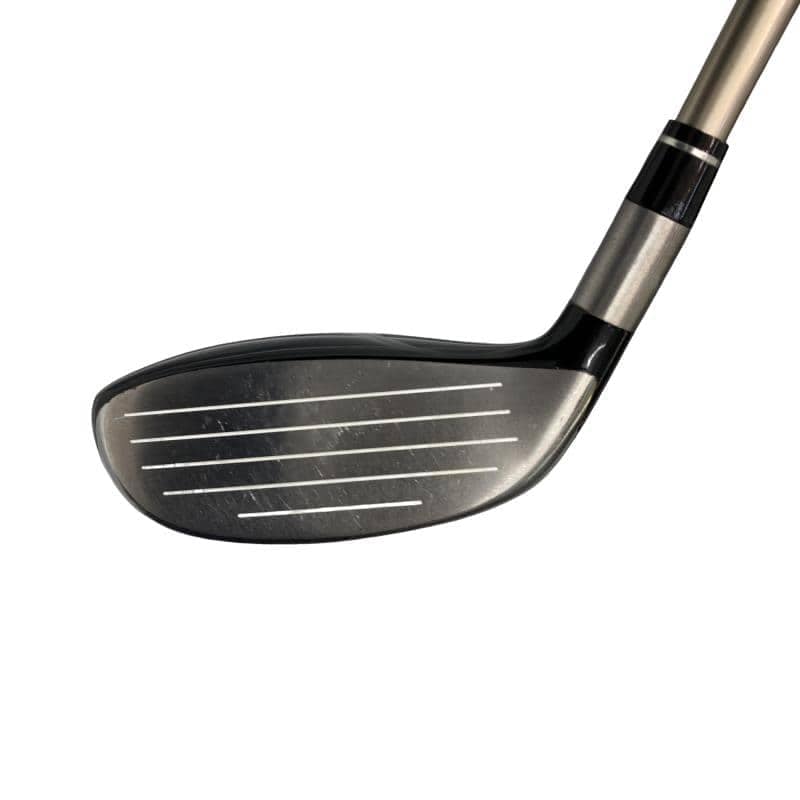 �s�n�t�q�@�v�n�q�k�c�@�s�v�V�Q�V�@�P�X°