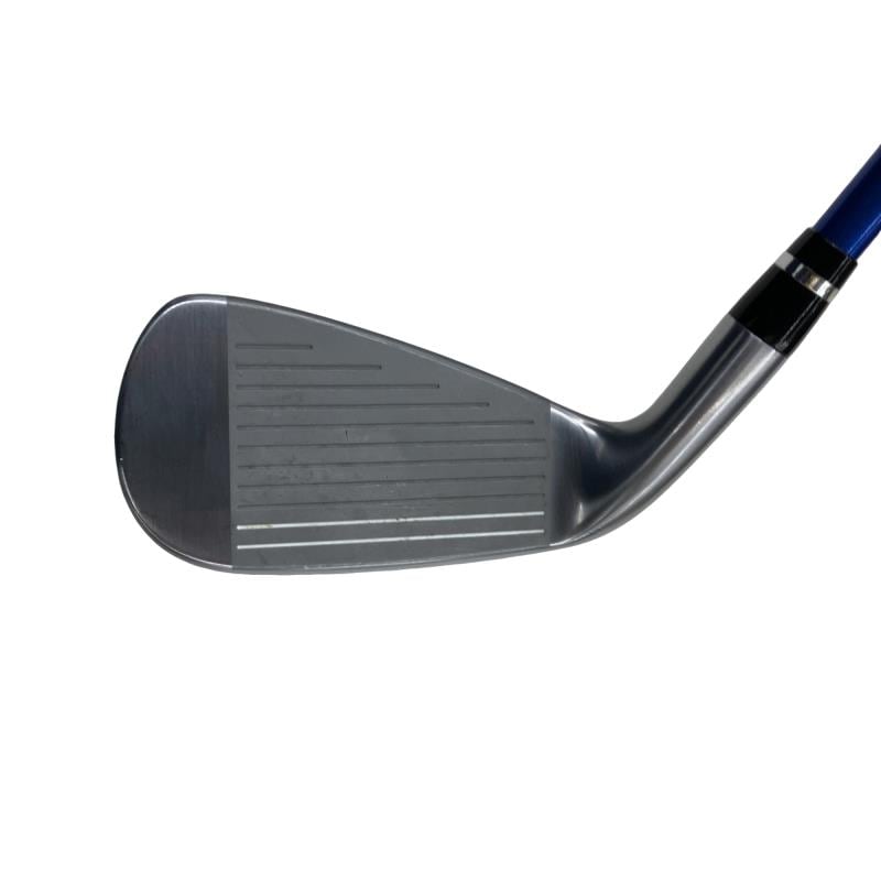 �������������@�t�c�{�Q�@�X�r�i���{���F�W�{�Z�b�g�j