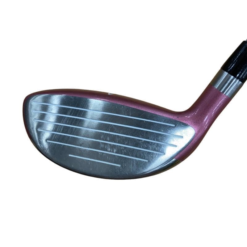 ���������i�Q�O�O�W�j�@�T�t�@���f�B�[�X