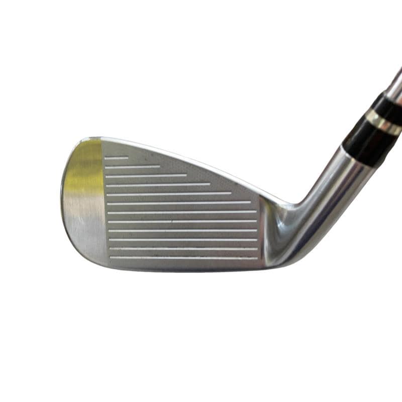 �������������@�q�l�w�@�t�c�{�Q�@�V�r�i���{���F�U�{�Z�b�g�j