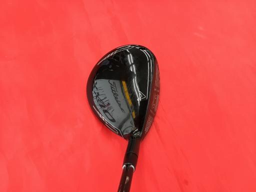 �w�Q�@�g�n�s�@�@�T�v�@���t�e�B