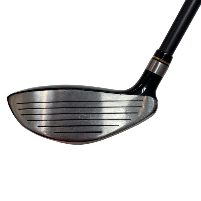 �j�Q�j�@���������O�X���[�e�B���e�B�@�t�T