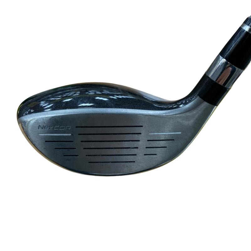 �u�q�Q�r�@���[�e�B���e�B�@�t�S�@�t�r�`