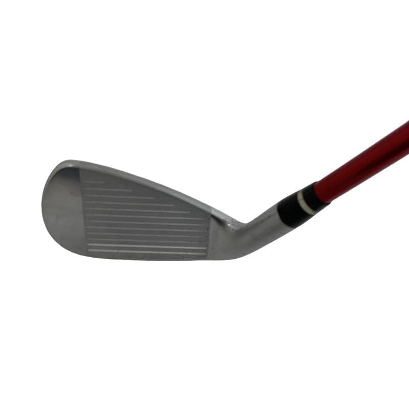 �������������@�q�l�w�@�t�c�{�Q�@�S�r�i���{���F�S�{�Z�b�g�j