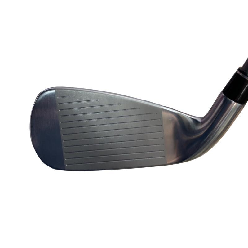 �������@���{�i�Q�O�P�X�j�@�t�T