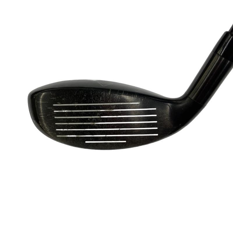 �w�Q�@�g�n�s�@�t�R