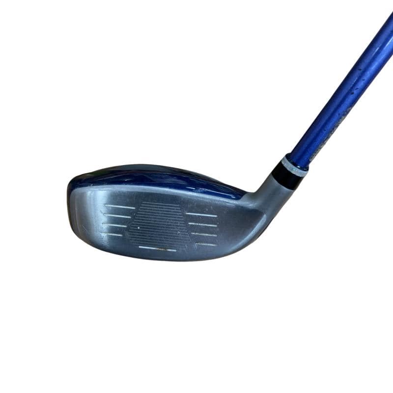 �w�w�h�n�i�Q�O�Q�O�j�@�g�S�@���f�B�[�X