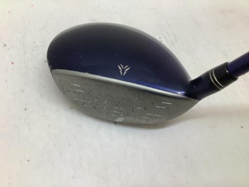 �w�w�h�n�i�Q�O�P�U�j�@�T�v�@���f�B�[�X