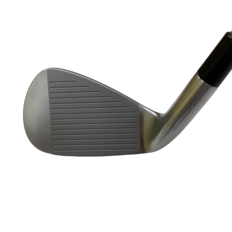 �s�����������@�l�������@�o�E�W�b�a�i�Q�O�Q�T�j�@�T�r�i���{���F�T�{�Z�b�g�j