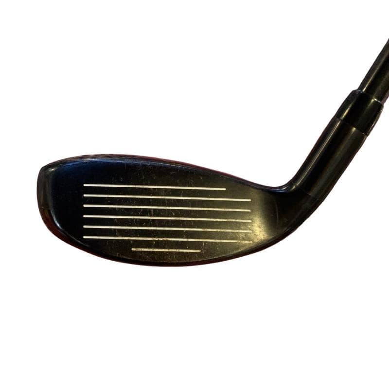 �w�Q�@�g�n�s�@�t�S