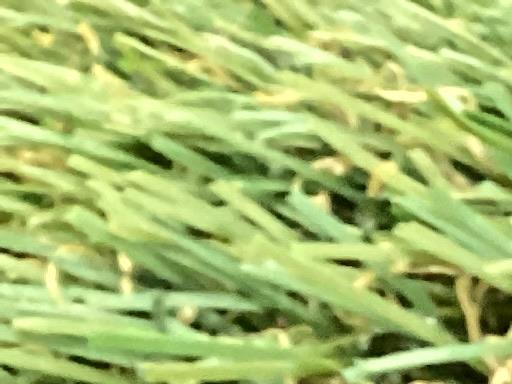 �b�����������������@�q�s�w�@�y�h�o�b�n�q�d�@�c�A�[�T�e���@�S�W°�^�P�O°�@�l�h�c