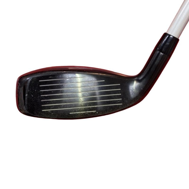 �q�n�f�t�d�@�r�s�`�q�@�t�S�@���f�B�[�X