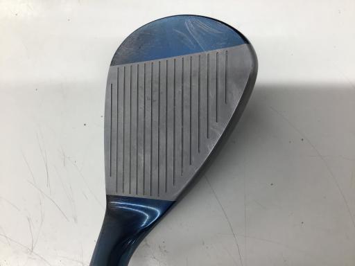 �l�����������@�d���Q�P�i�u���[�j�@�T�U°�^�P�O°