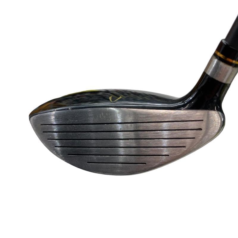 �j�Q�j�@���������O�X���[�e�B���e�B�@�t�T