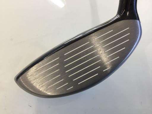 �q���������@���[�e�B���e�B�@�V���o�[�@�S�t