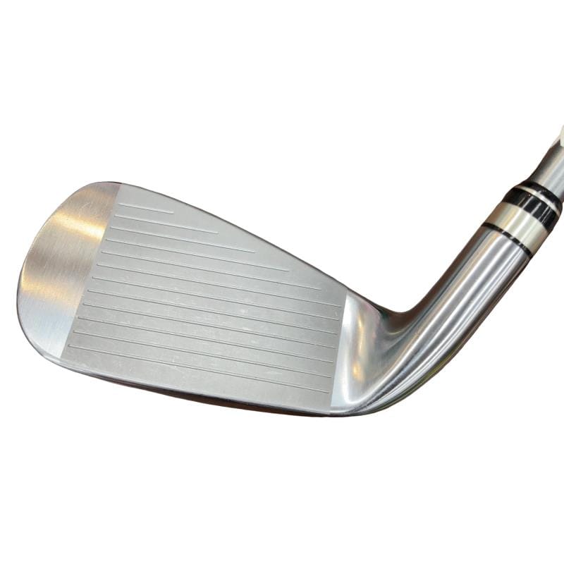 �������i�Q�O�P�X�j�@�V�r�i���{���F�U�{�Z�b�g�j