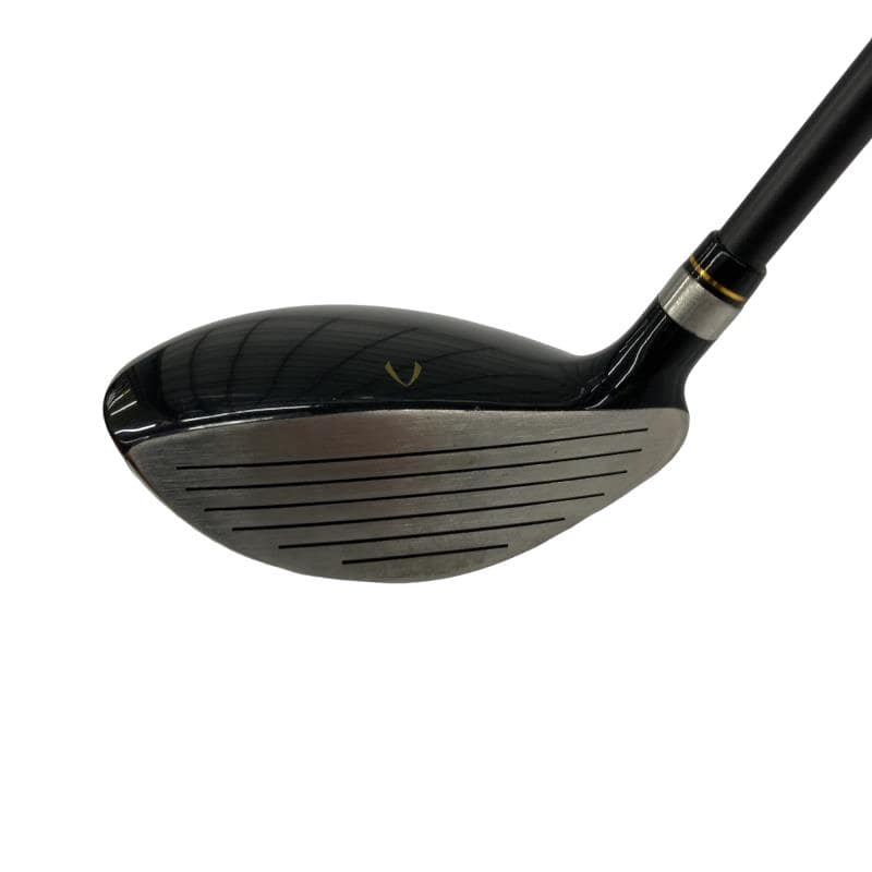 �j�Q�j�@���������O�X���[�e�B���e�B�@�t�T