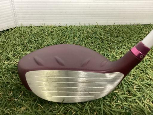 �f�@�k���Q�@�V�v�@���f�B�[�X