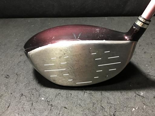 wwhniQOPSj@PQDT°@fB[X