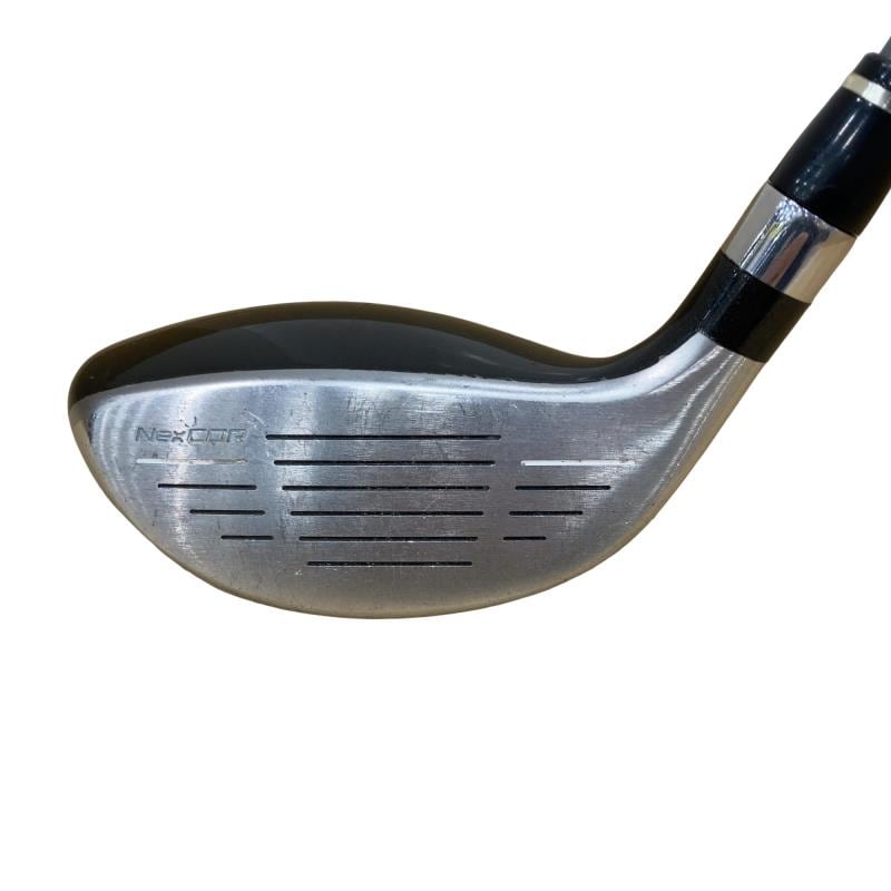 �u�q�Q�r�@���[�e�B���e�B�@�t�R