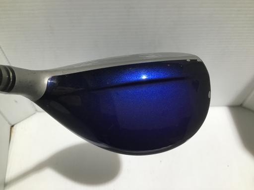 �w�w�h�n�i�Q�O�P�W�j�@�g�T