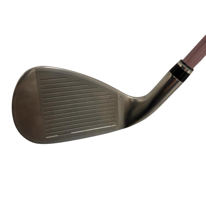 �w�w�h�n�i�Q�O�P�W�j�@�U�r�i�{���h�[�j�@���f�B�[�X�i���{���F�U�{�Z�b�g�j