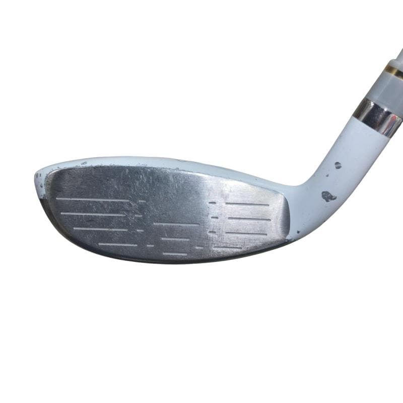 �����������i�Q�O�P�T�j�@�T�g�@���f�B�[�X