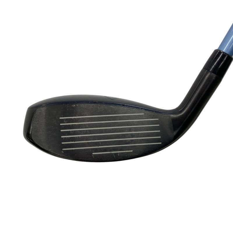 �w�q�@�t�T�@���f�B�[�X